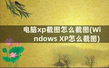 电脑xp截图怎么截图(Windows XP怎么截图)